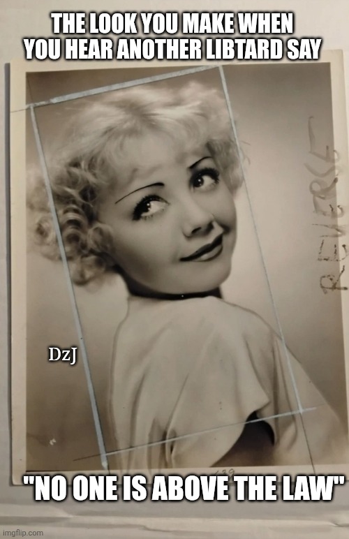 The Look | THE LOOK YOU MAKE WHEN YOU HEAR ANOTHER LIBTARD SAY; DzJ; "NO ONE IS ABOVE THE LAW" | image tagged in democrats,hypocrites,liars,morons | made w/ Imgflip meme maker