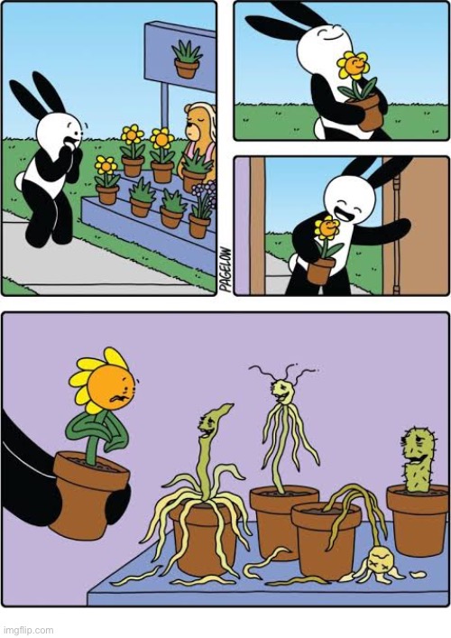 Buni Comics | image tagged in comics,buni comics,plants,brown thumb,dead | made w/ Imgflip meme maker