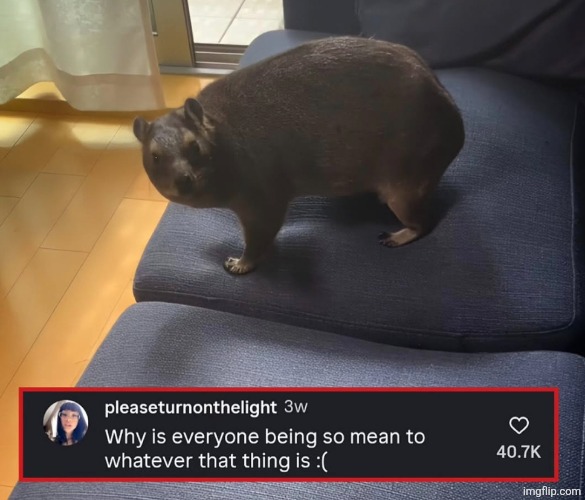 made w/ Imgflip meme maker