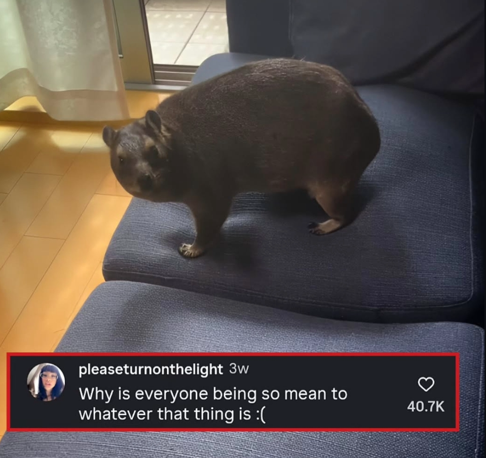 why is everyone being so mean to whatever that thing is Blank Meme Template