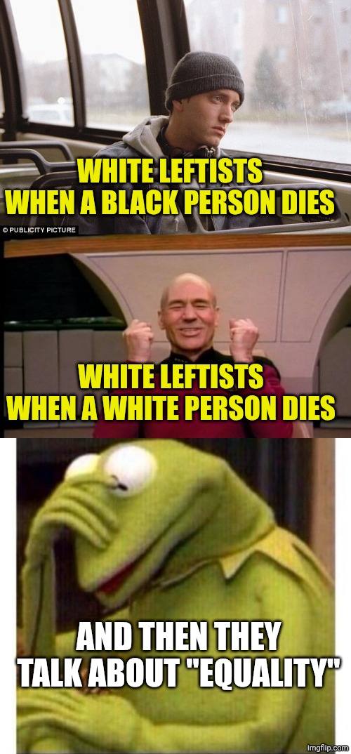 ...no sense | WHITE LEFTISTS WHEN A BLACK PERSON DIES; WHITE LEFTISTS WHEN A WHITE PERSON DIES; AND THEN THEY TALK ABOUT "EQUALITY" | image tagged in depressed eminem,excited picard,facepalm frog | made w/ Imgflip meme maker