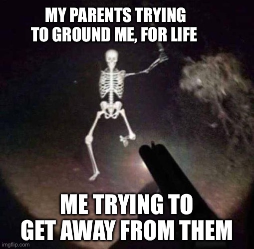 skeleton running at you with sword | MY PARENTS TRYING TO GROUND ME, FOR LIFE; ME TRYING TO GET AWAY FROM THEM | image tagged in skeleton running at you with sword | made w/ Imgflip meme maker