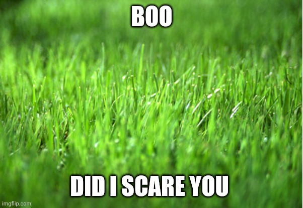 grass is greener | BOO; DID I SCARE YOU | image tagged in grass is greener | made w/ Imgflip meme maker