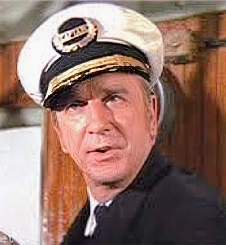 Captain Buzzkill Blank Meme Template