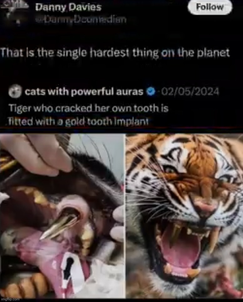 That's absolutely badass | made w/ Imgflip meme maker