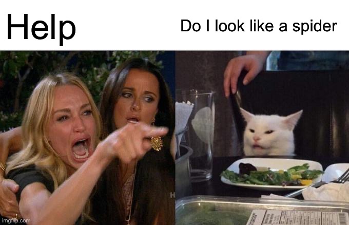 Woman Yelling At Cat | Help; Do I look like a spider | image tagged in memes,woman yelling at cat | made w/ Imgflip meme maker