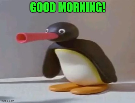 pingu | GOOD MORNING! | image tagged in pingu | made w/ Imgflip meme maker
