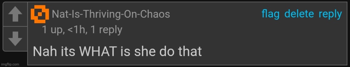 made w/ Imgflip meme maker