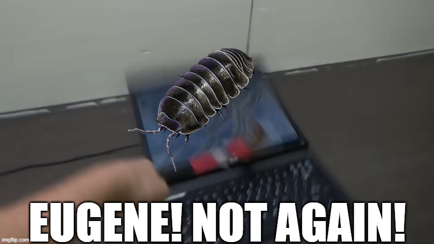 Something I thought of doing. | EUGENE! NOT AGAIN! | image tagged in eugene,not again,matt rose,howtobasic,ha ha tags go brr,why are you reading the tags | made w/ Imgflip meme maker