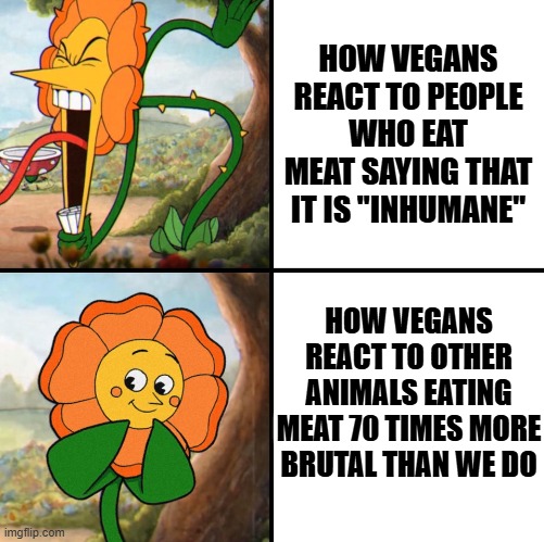 Trust me, humans are so much better compared to how other animals eat meat | HOW VEGANS REACT TO PEOPLE WHO EAT MEAT SAYING THAT IT IS "INHUMANE"; HOW VEGANS REACT TO OTHER ANIMALS EATING MEAT 70 TIMES MORE BRUTAL THAN WE DO | image tagged in angry flower,memes,relatable memes,vegans,so true | made w/ Imgflip meme maker