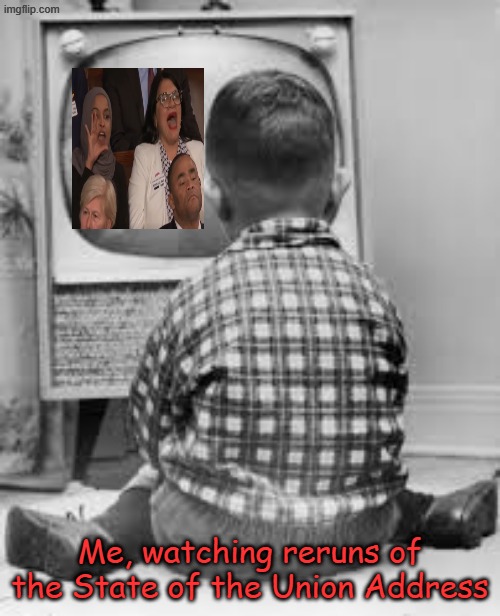 I keep rewinding to my favorite parts | Me, watching reruns of the State of the Union Address | image tagged in tv | made w/ Imgflip meme maker