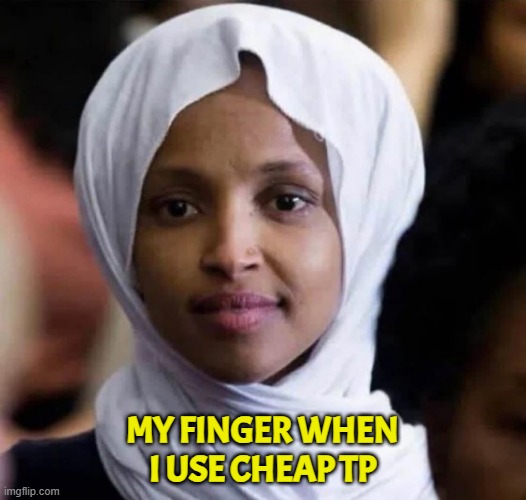 I can't make memes is the site down or am I suspened | MY FINGER WHEN I USE CHEAP TP | image tagged in ilhan,congress,muslim | made w/ Imgflip meme maker
