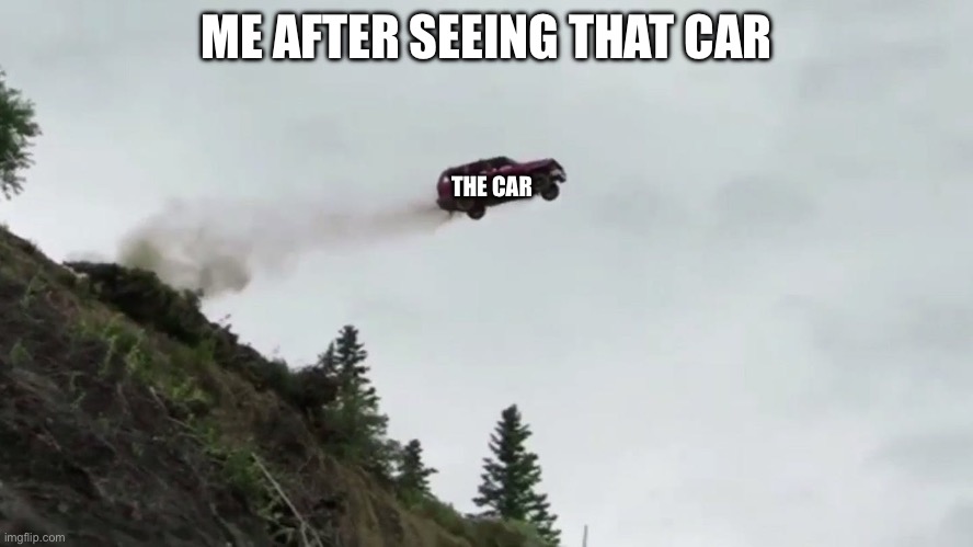 Car Driving Off Cliff | ME AFTER SEEING THAT CAR THE CAR | image tagged in car driving off cliff | made w/ Imgflip meme maker