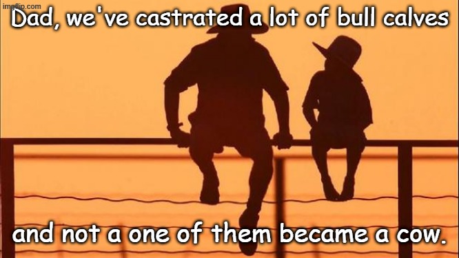 Cowboy father and son | Dad, we've castrated a lot of bull calves and not a one of them became a cow. | image tagged in cowboy father and son | made w/ Imgflip meme maker