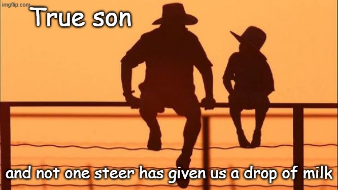 Cowboy father and son | True son and not one steer has given us a drop of milk | image tagged in cowboy father and son | made w/ Imgflip meme maker