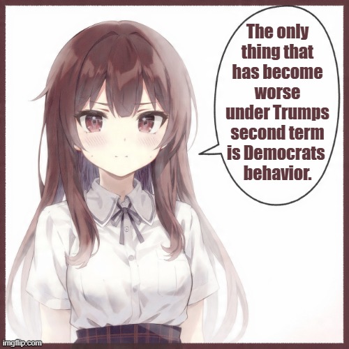 Anime Girl Democrats Behavior | The only thing that has become worse under Trumps second term is Democrats 
behavior. | image tagged in anime girl | made w/ Imgflip meme maker