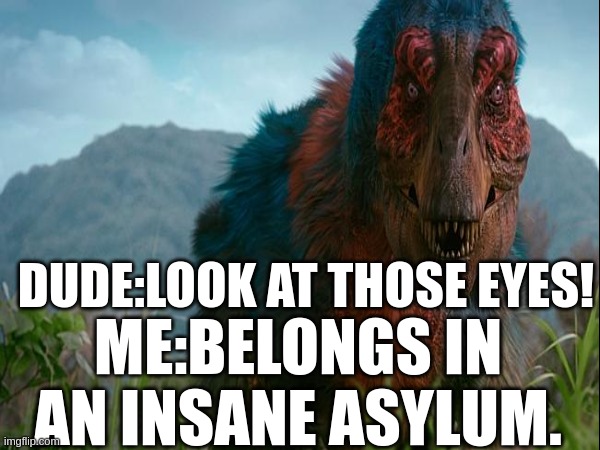 dude.v.me | DUDE:LOOK AT THOSE EYES! ME:BELONGS IN AN INSANE ASYLUM. | image tagged in reaction | made w/ Imgflip meme maker