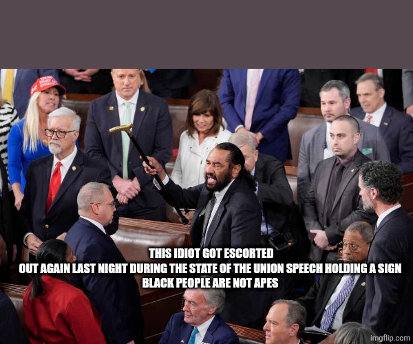 Rep Al Green | THIS IDIOT GOT ESCORTED OUT AGAIN LAST NIGHT DURING THE STATE OF THE UNION SPEECH HOLDING A SIGN 
BLACK PEOPLE ARE NOT APES | image tagged in rep al green | made w/ Imgflip meme maker
