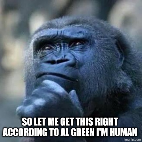 Thinking ape | SO LET ME GET THIS RIGHT 
ACCORDING TO AL GREEN I'M HUMAN | image tagged in thinking ape | made w/ Imgflip meme maker
