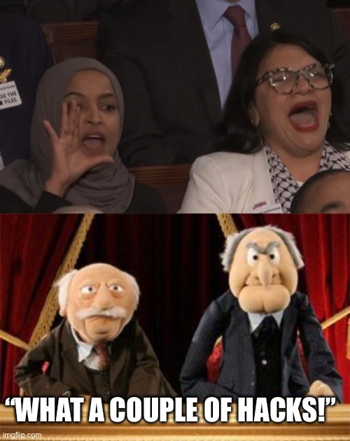 The real hecklers | “WHAT A COUPLE OF HACKS!” | image tagged in memes,funny,muppets | made w/ Imgflip meme maker