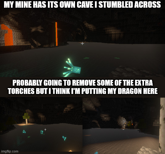 Is finding a cool cave with ore better than finding just diamonds? | MY MINE HAS ITS OWN CAVE I STUMBLED ACROSS; PROBABLY GOING TO REMOVE SOME OF THE EXTRA TORCHES BUT I THINK I'M PUTTING MY DRAGON HERE | made w/ Imgflip meme maker