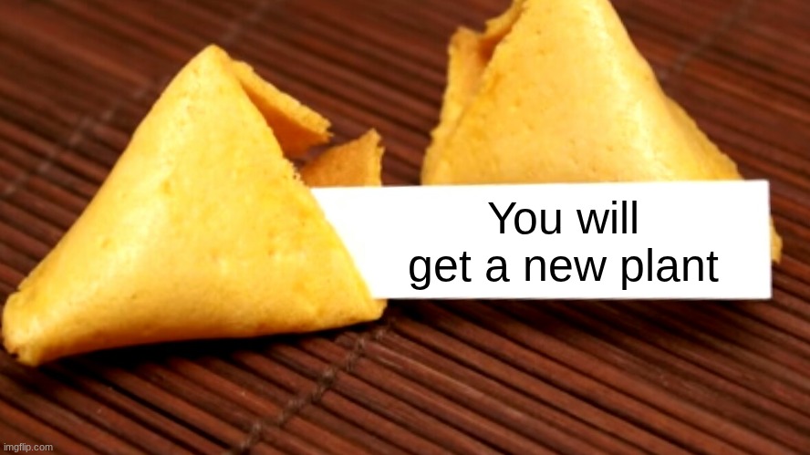 ? | You will get a new plant | image tagged in fortune cookie | made w/ Imgflip meme maker