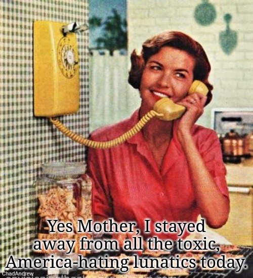 I stayed away from all of them. | Yes Mother, I stayed away from all the toxic, America-hating lunatics today. | image tagged in democrats,leftists,liberals,america first,maga | made w/ Imgflip meme maker