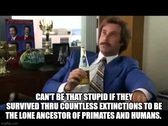 CAN'T BE THAT STUPID IF THEY SURVIVED THRU COUNTLESS EXTINCTIONS TO BE THE LONE ANCESTOR OF PRIMATES AND HUMANS. | image tagged in memes,well that escalated quickly | made w/ Imgflip meme maker
