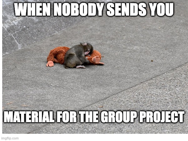 Working Alone is Terrible | WHEN NOBODY SENDS YOU; MATERIAL FOR THE GROUP PROJECT | image tagged in group projects,writing group,group | made w/ Imgflip meme maker