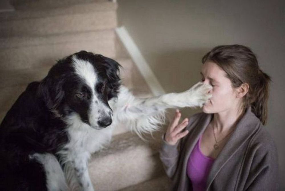 Chrisjoines1 Blank Meme Template