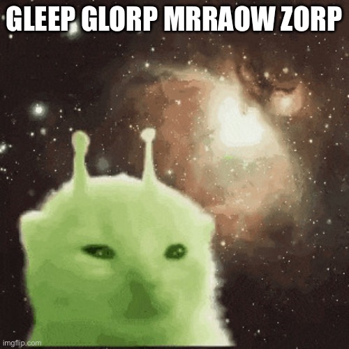 Alien Cat | GLEEP GLORP MRRAOW ZORP | image tagged in alien cat | made w/ Imgflip meme maker