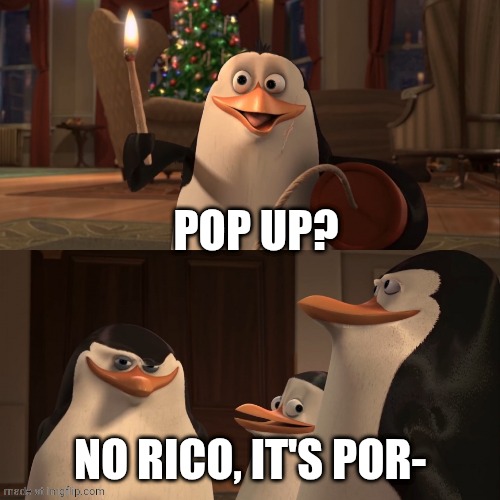 Madagascar Penguin Kaboom | POP UP? NO RICO, IT'S POR- | image tagged in madagascar penguin kaboom | made w/ Imgflip meme maker