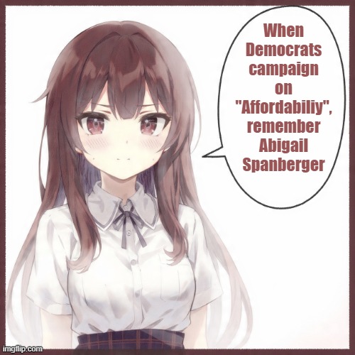 Affordability | When Democrats campaign on "Affordabiliy", remember Abigail Spanberger | image tagged in anime girl | made w/ Imgflip meme maker