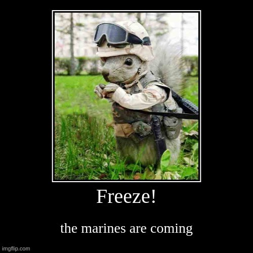 LOL | image tagged in stuff | made w/ Imgflip meme maker