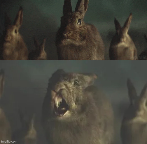 Lone Ranger Rabid Bunnies | image tagged in lone ranger,funny memes,rage,bunny,bunnies,anger | made w/ Imgflip meme maker