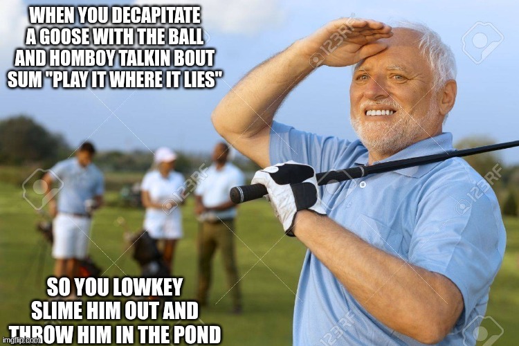 golf | WHEN YOU DECAPITATE A GOOSE WITH THE BALL AND HOMBOY TALKIN BOUT SUM "PLAY IT WHERE IT LIES"; SO YOU LOWKEY SLIME HIM OUT AND THROW HIM IN THE POND | image tagged in golfer harlod | made w/ Imgflip meme maker