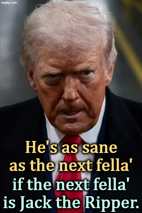 He's as sane as the next fella'; if the next fella' is Jack the Ripper. | image tagged in trump,insane,crazy,nuts,senile dementia,frontotemporal dementia | made w/ Imgflip meme maker