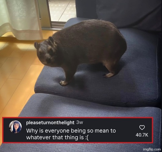 why is everyone being so mean to whatever that thing is | image tagged in why is everyone being so mean to whatever that thing is | made w/ Imgflip meme maker