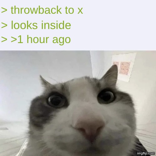 green text cat | > throwback to x > looks inside > >1 hour ago | image tagged in green text cat | made w/ Imgflip meme maker