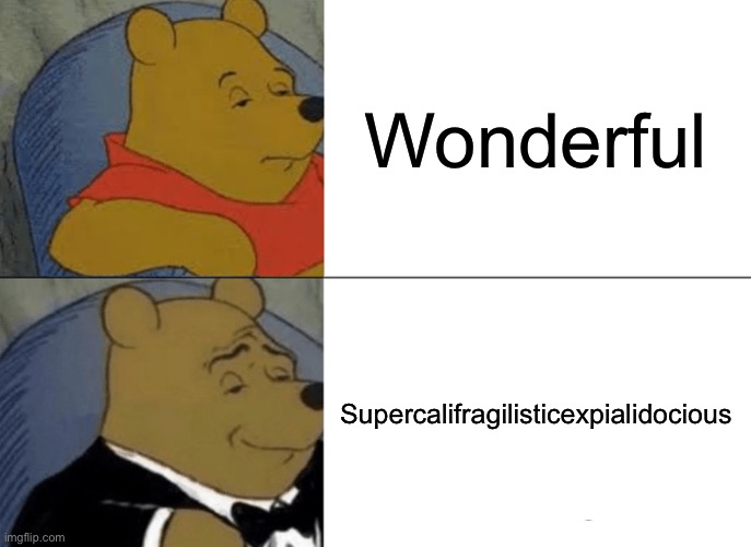 Yes it means wonderful | Wonderful; Supercalifragilisticexpialidocious | image tagged in memes,tuxedo winnie the pooh | made w/ Imgflip meme maker