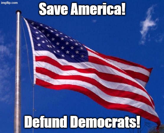Defunding Democrats would defund RINOs too. | Save America! Defund Democrats! | image tagged in american flag | made w/ Imgflip meme maker