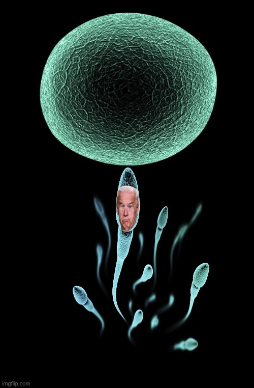 image tagged in i can't believe that's the sperm that won | made w/ Imgflip meme maker