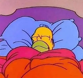 Homer sleeping Blank Meme Template