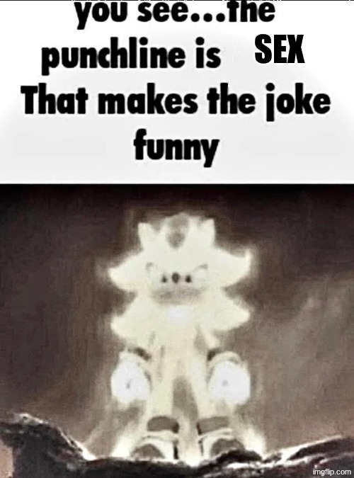 Shadow explains the joke | SEX | image tagged in shadow explains the joke | made w/ Imgflip meme maker