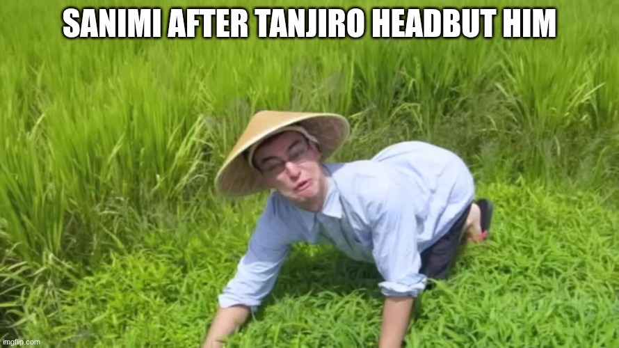 he was so enmbarested | SANIMI AFTER TANJIRO HEADBUT HIM | image tagged in welcome to the rice fields,demon slayer | made w/ Imgflip meme maker