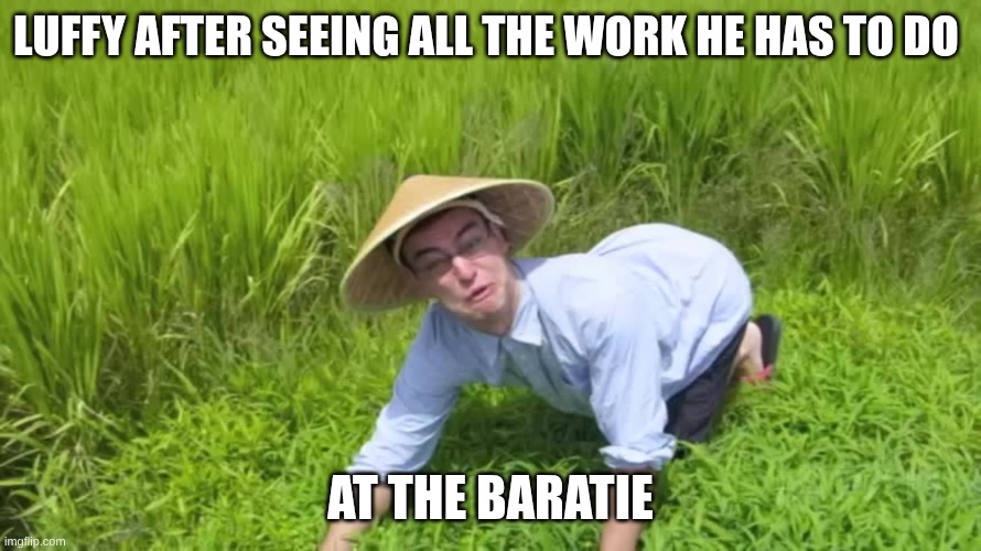he didn't like it | LUFFY AFTER SEEING ALL THE WORK HE HAS TO DO; AT THE BARATIE | image tagged in welcome to the rice fields | made w/ Imgflip meme maker