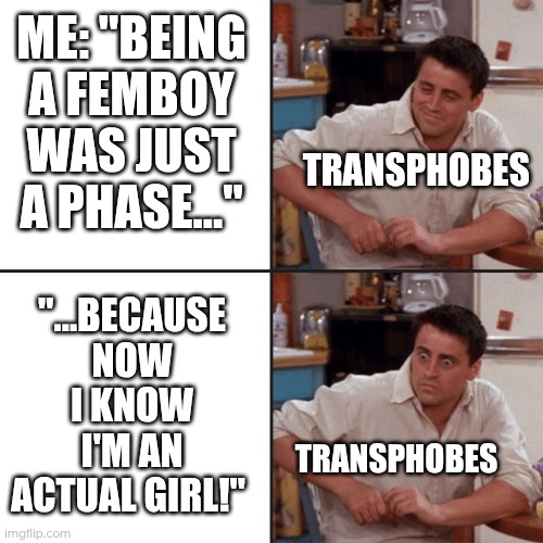 Somehow they were right... It was just a phase... | ME: "BEING A FEMBOY WAS JUST A PHASE..."; TRANSPHOBES; "...BECAUSE NOW I KNOW I'M AN ACTUAL GIRL!"; TRANSPHOBES | image tagged in joey friends | made w/ Imgflip meme maker