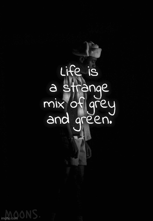 The colours are my life's favourite emotions | Life is a strange mix of grey and green. | image tagged in moons tyler temp | made w/ Imgflip meme maker
