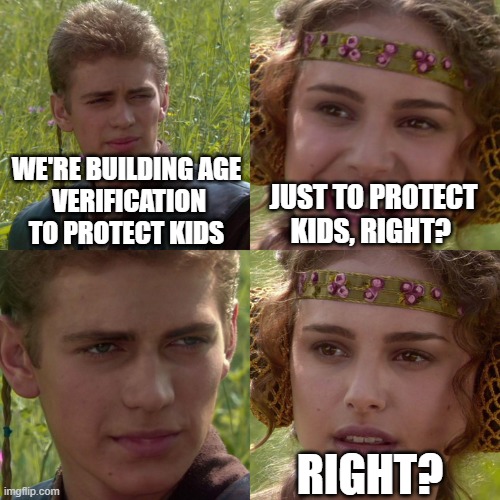 Age Verification is For the Kids Right? | WE'RE BUILDING AGE
 VERIFICATION TO PROTECT KIDS; JUST TO PROTECT KIDS, RIGHT? RIGHT? | image tagged in anakin padme 4 panel,privacy,age verification | made w/ Imgflip meme maker