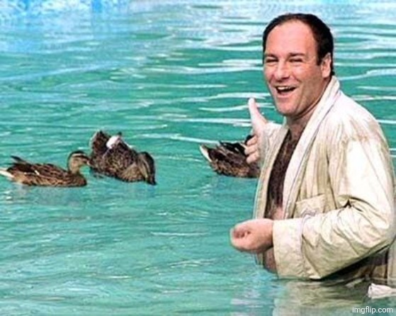 Tony Soprano loves Duccs | made w/ Imgflip meme maker